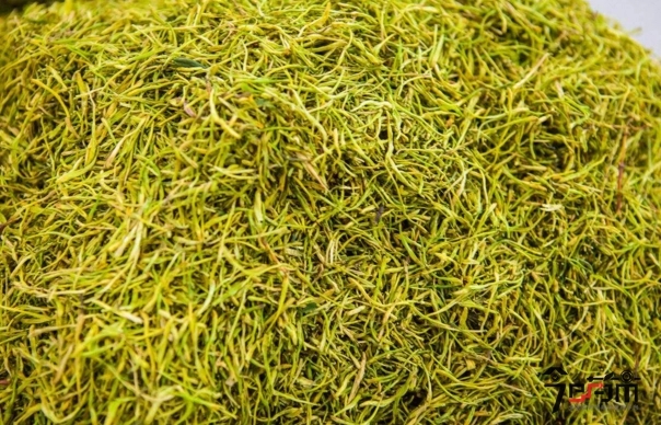 金银花金银花 金银花金银花